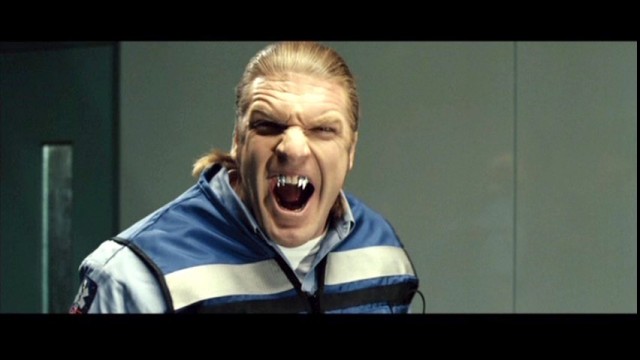 Paul Levesque fotoğrafı