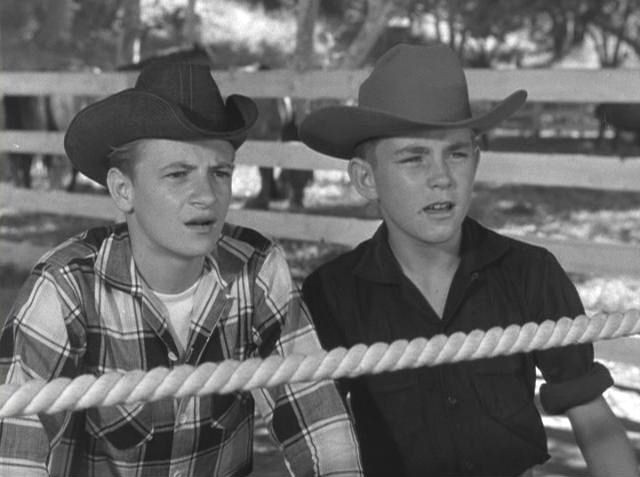 Sammy Ogg fotoğrafı