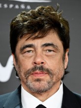 Benicio Del Toro fotoğrafı