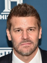 David Boreanaz fotoğrafı
