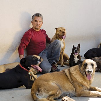 Cesar Millan fotoğrafı