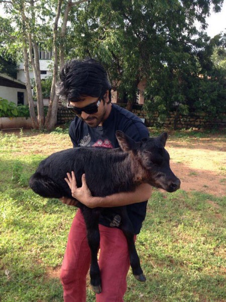 Ram Charan Fotoğrafı