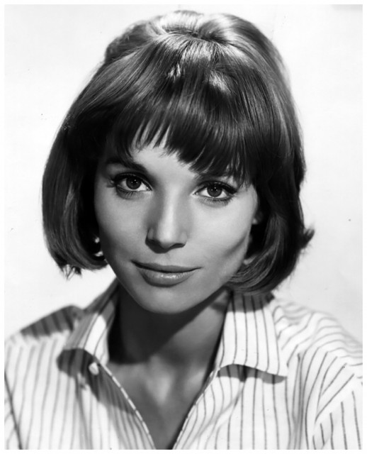 Elsa Martinelli fotoğrafı