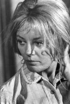 Sheree North Fotoğrafı