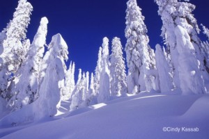 Kış Rüyası Fotoğrafları 8
