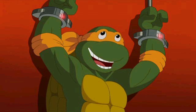 Turtles Forever Fotoğrafı
