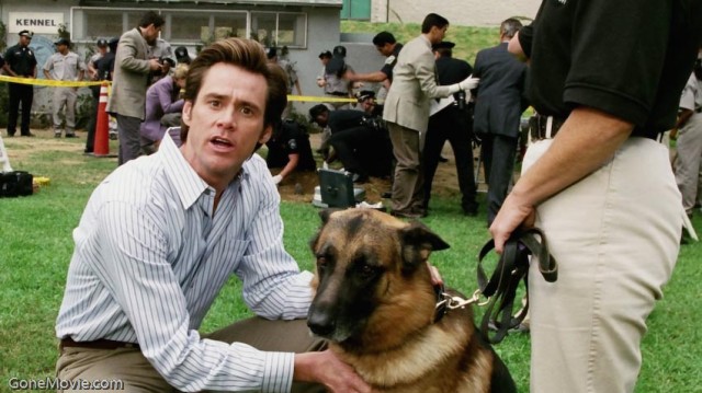 Aman Tanrım! Fotoğrafı