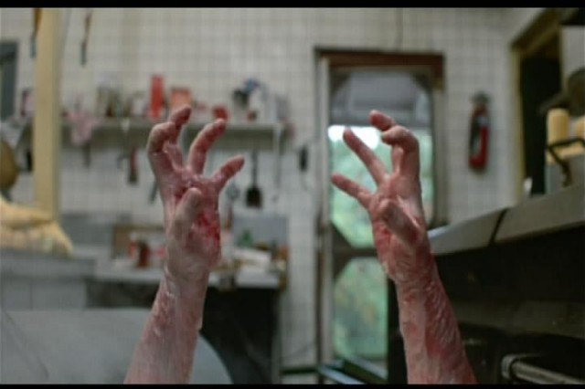 Sleepaway Camp fotoğrafı