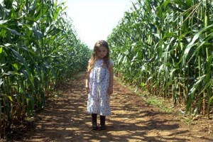 İşaretler Fotoğrafı