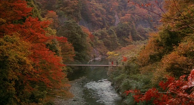 Bebekler Fotoğrafı