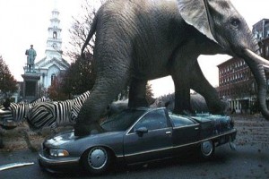 Jumanji Fotoğrafı