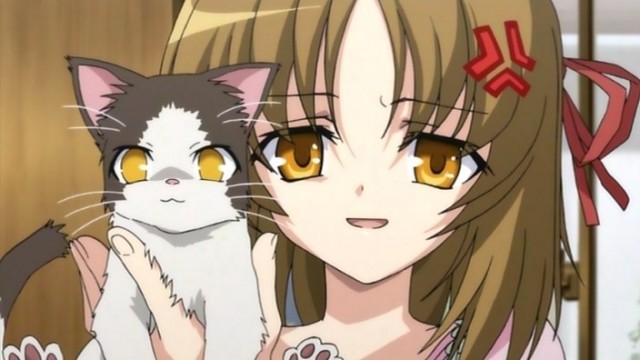 Omamori Himari Fotoğrafı