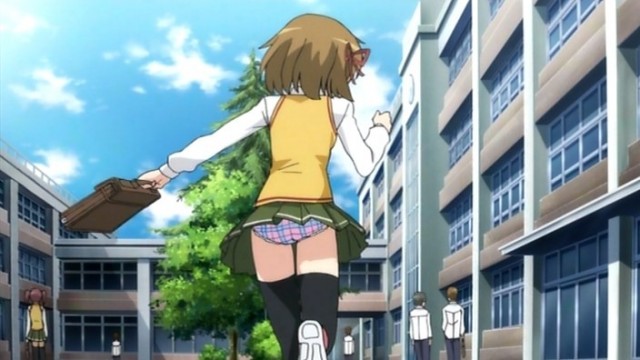 Omamori Himari Fotoğrafı