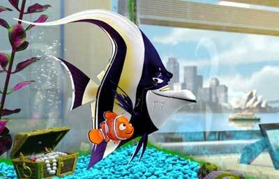 Kayıp Balık Nemo Fotoğrafı