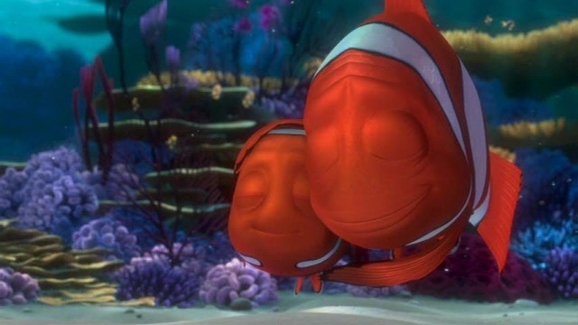 Kayıp Balık Nemo Fotoğrafı