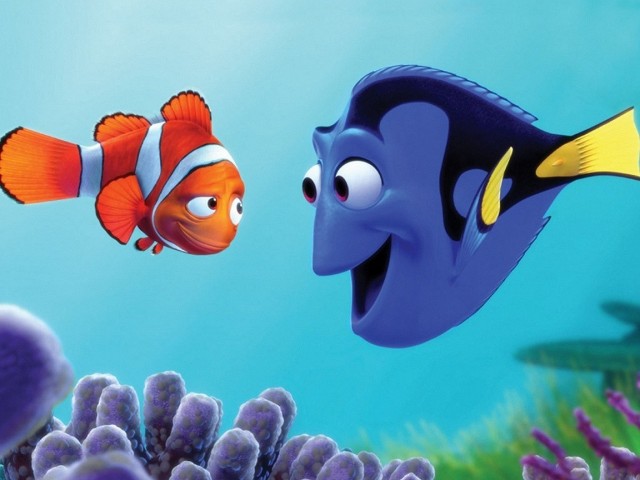 Kayıp Balık Nemo fotoğrafı
