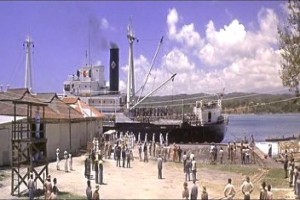 Kelebek Fotoğrafı