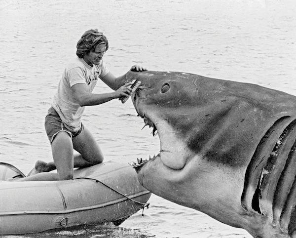 Jaws Fotoğrafı