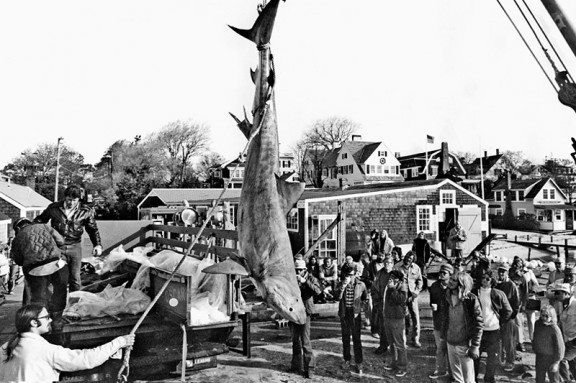 Jaws Fotoğrafı