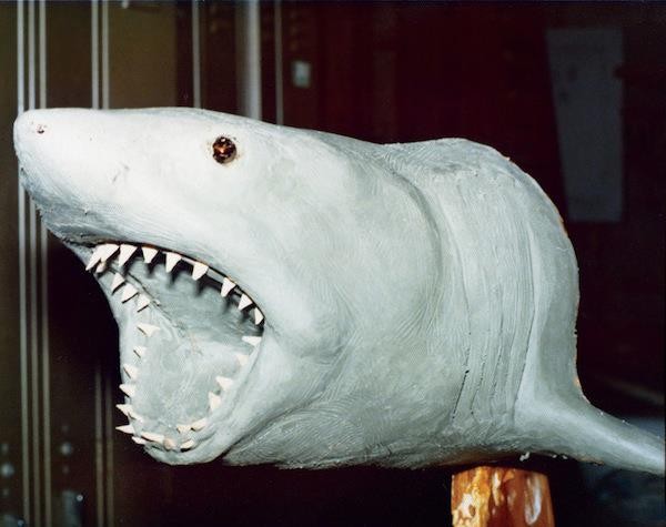 Jaws Fotoğrafı