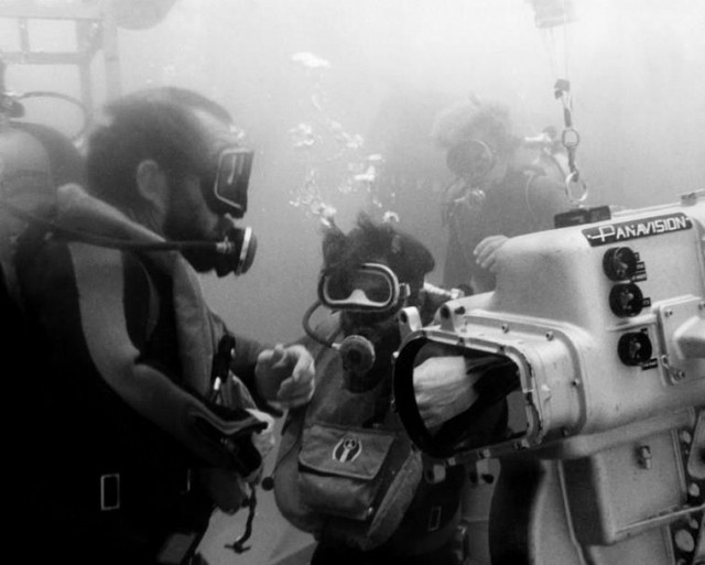 Jaws Fotoğrafı