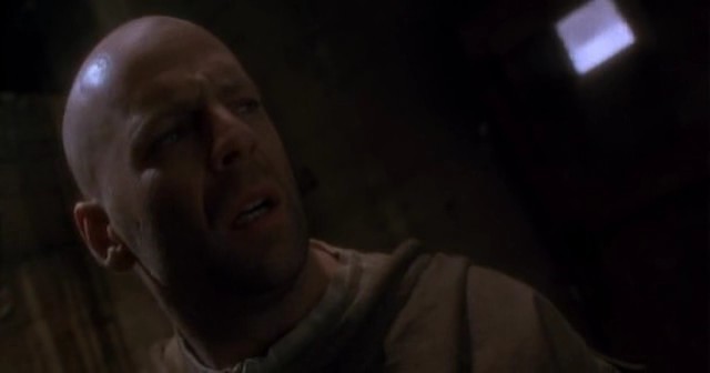 12 Maymun Fotoğrafı