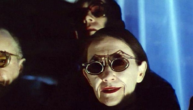 12 Maymun Fotoğrafı