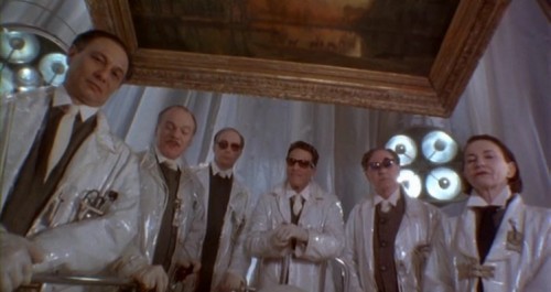 12 Maymun Fotoğrafı