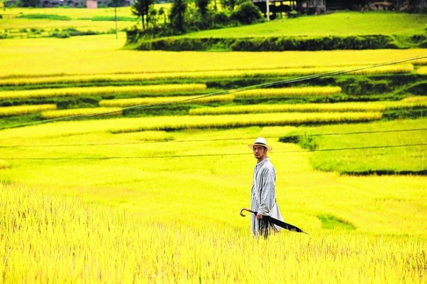 Swordsmen Fotoğrafı