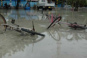 Tsunami Felaketin Ardından Fotoğrafı