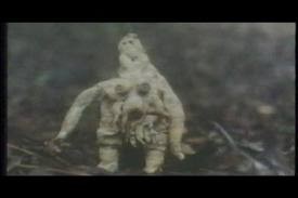 Ginseng King Fotoğrafı