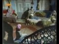 Senede Bir Gün fotoğrafı