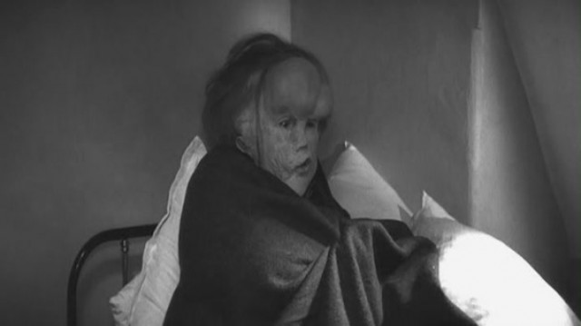 Fil Adam Fotoğrafı