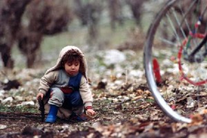 Kaplumbağalar da Uçar Fotoğrafı