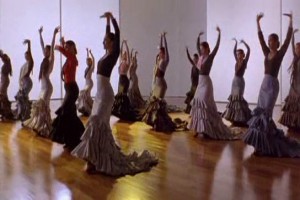 Flamenco Fotoğrafları 5