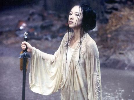 Kaplan ve Ejderha Fotoğrafı