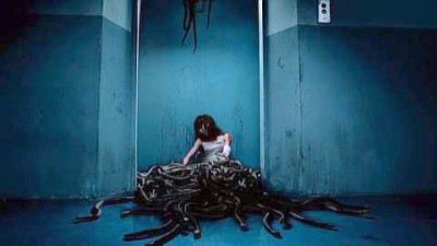 Kral Kobranın Intikamı Fotoğrafı