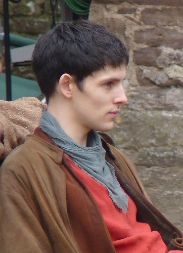 Merlin Fotoğrafı