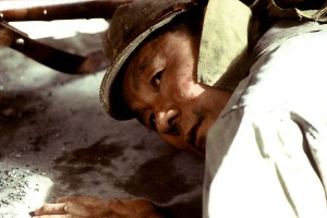 Takeshi Fotoğrafı