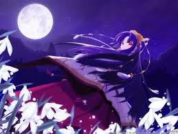 Tsukuyomi -moon Phase- Fotoğrafları 3