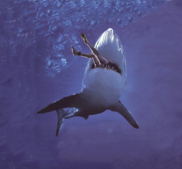 Shark Attack Fotoğrafı