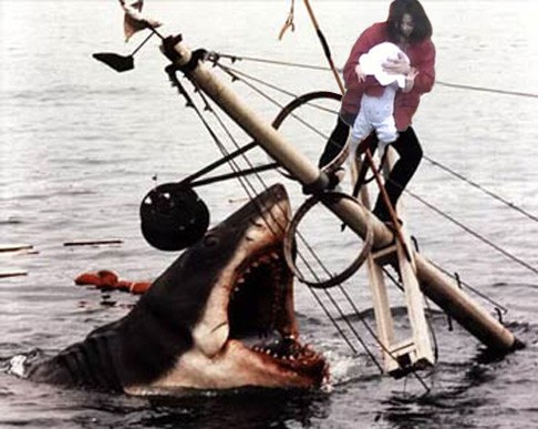 Shark Attack Fotoğrafları 10