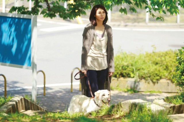 Happy Together: All About My Dog Fotoğrafı