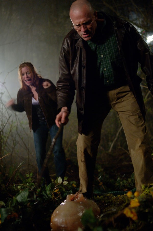 Yaratıklar Fotoğrafı