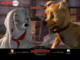 Sokakların Kralı Romeo Fotoğrafı