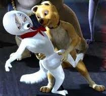 Sokakların Kralı Romeo Fotoğrafı