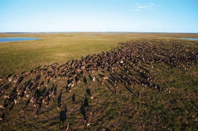 The Final Tundra Fotoğrafı