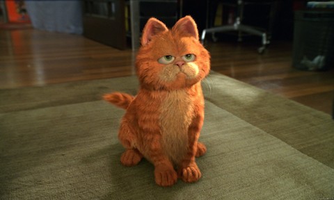 Garfield Fotoğrafları 13