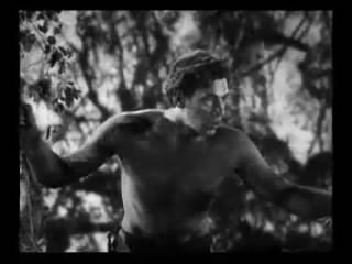 Tarzan The Ape Man Fotoğrafı