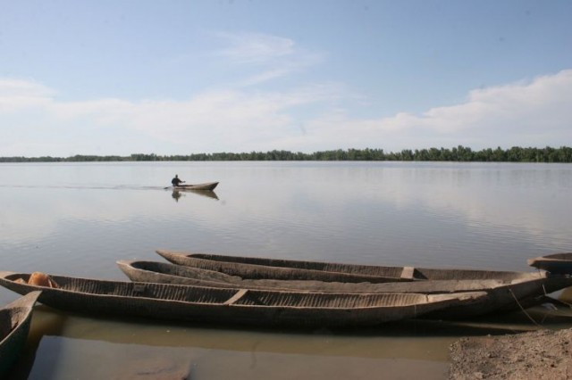 The Forgotten Bag Fotoğrafı